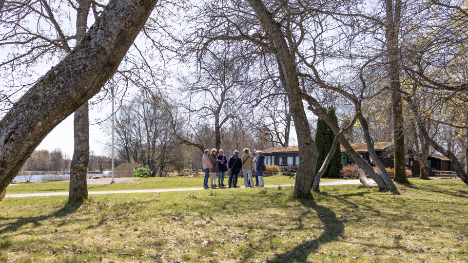 En grupp personer står i en ring ute i Skräckleparken