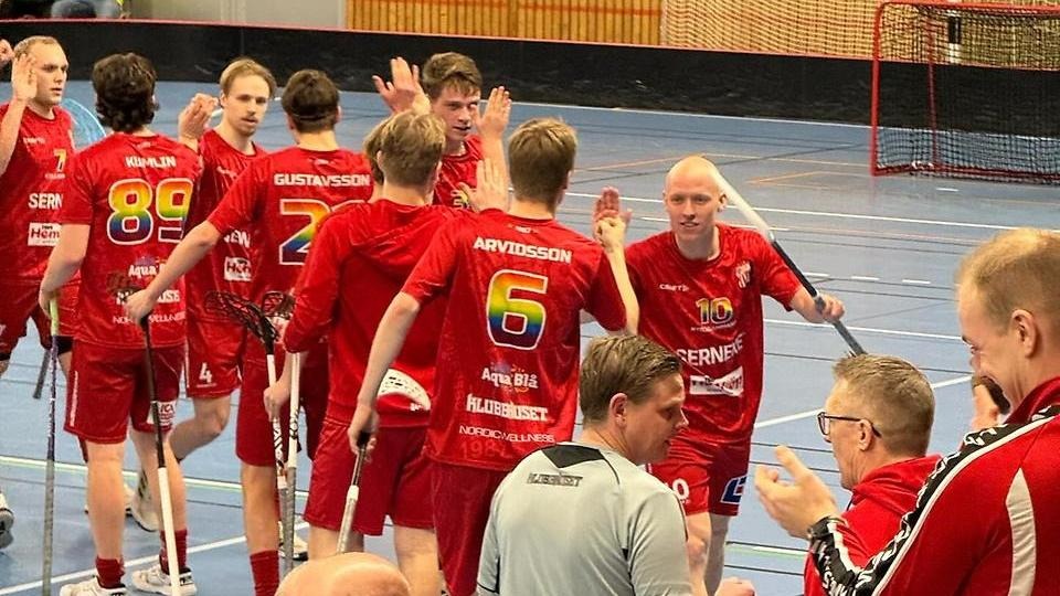 Herrlaget firar en seger. Deras matchställ är prydda med regnbågsfärgade siffror på.