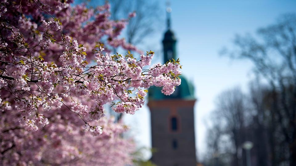 Bild på muralmålningen på Storgårdsvägen