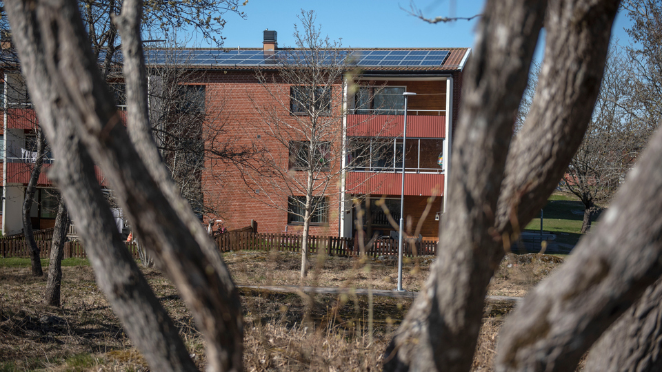 Hus på Kastanjevägen sett från parken