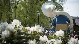 En person spelar bastuba bland gröna träd och vita blommor i Plantaget, Vänersborg.