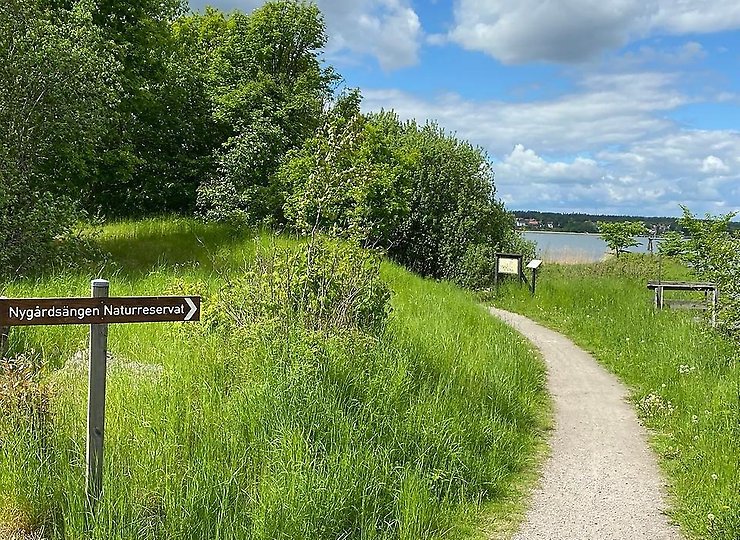 Vandringsleder och löpspår