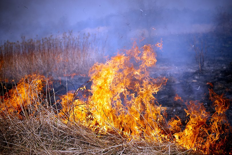 Exempelbild för nyhet